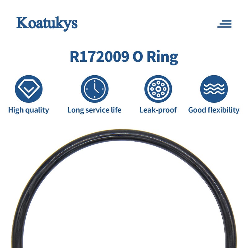 Koatukys R172009 O-Ring for Pentair Model 300/320 Pool and Spa Chlorinator Lid (2/Pack) - Image 3